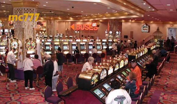 mc777 App – Casino in Your Pocket